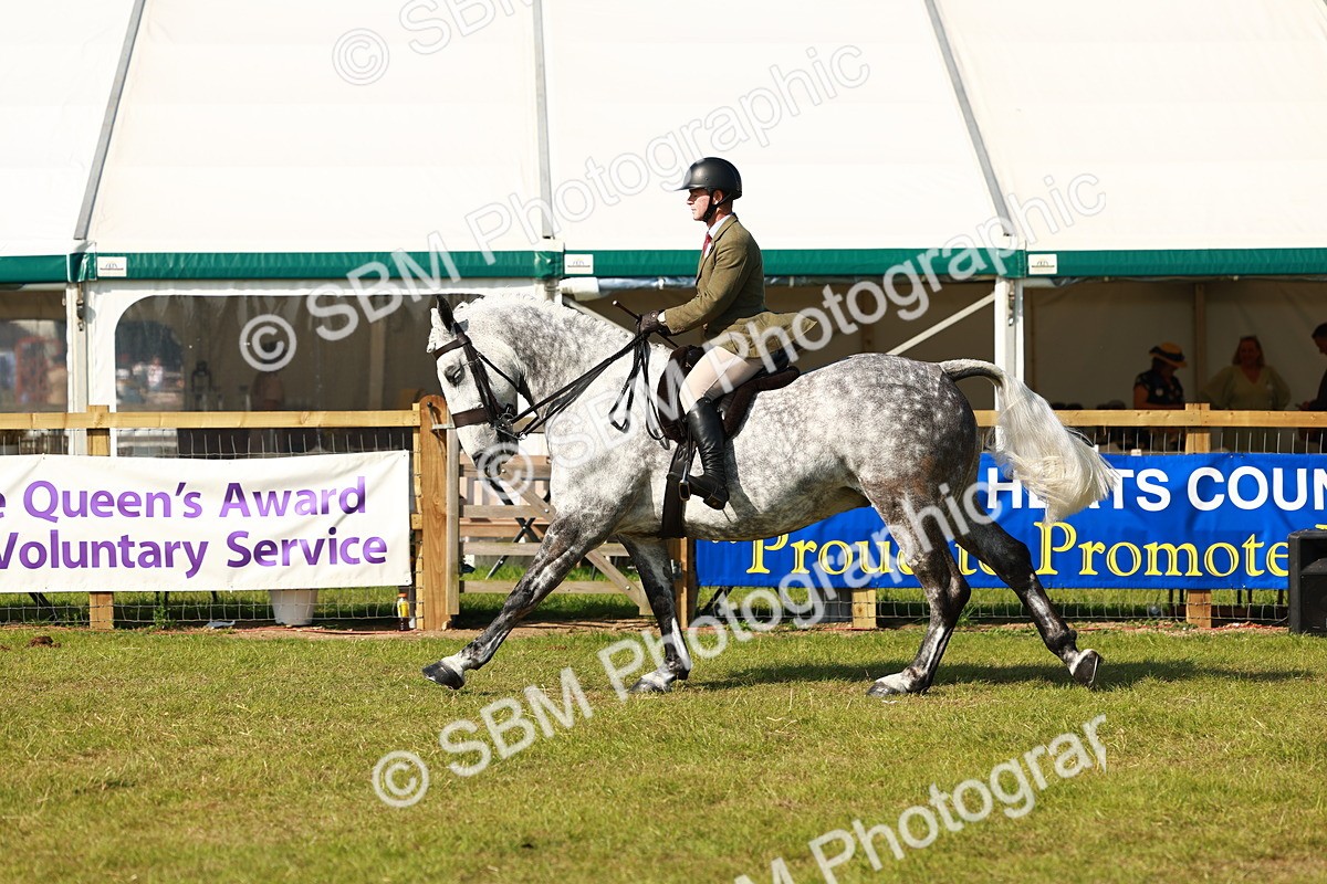 SBM_11804 - Class 66-69 - RIHS Ridden Hunters Inc Small Hunter