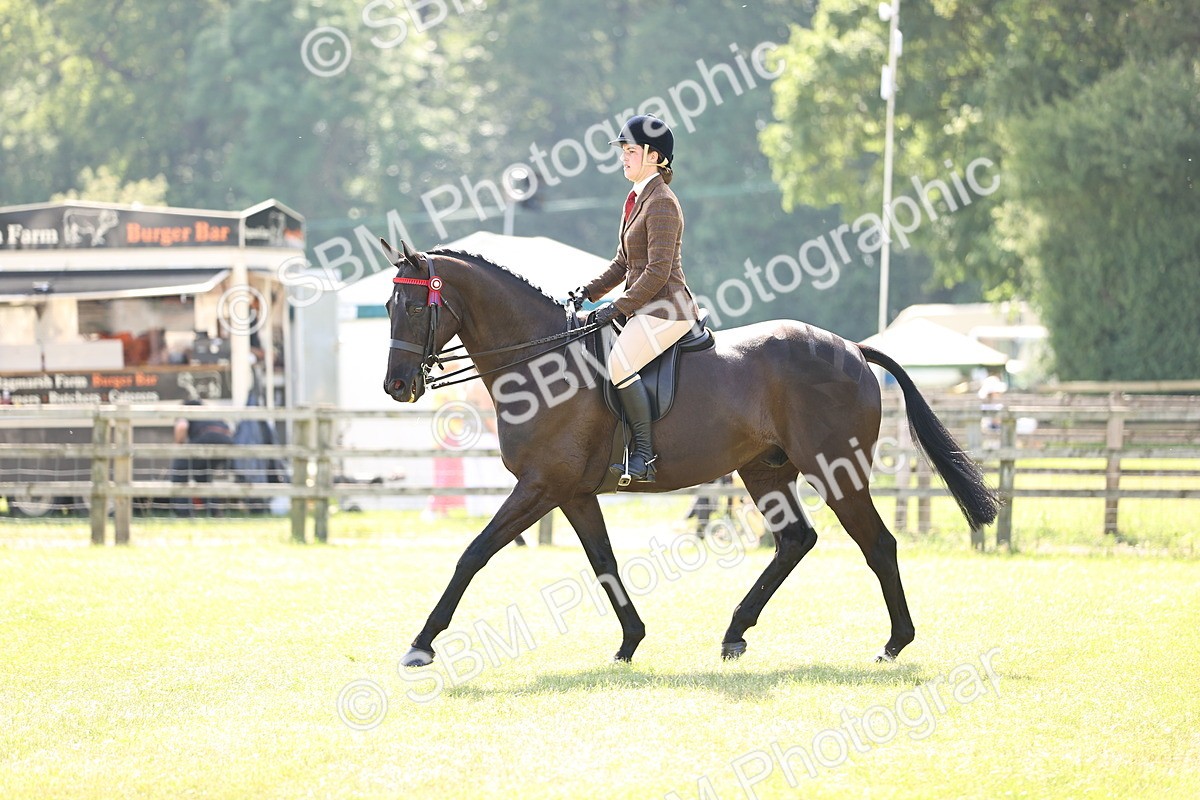 SBM_12999 - Class 75-76 LIHS BSHA Rising Star Hack Riding Horse