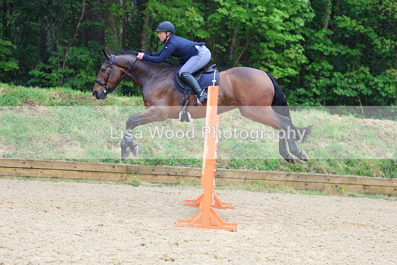 3E7A7482 - Class 8: Senior Foxhunter/1.20 open