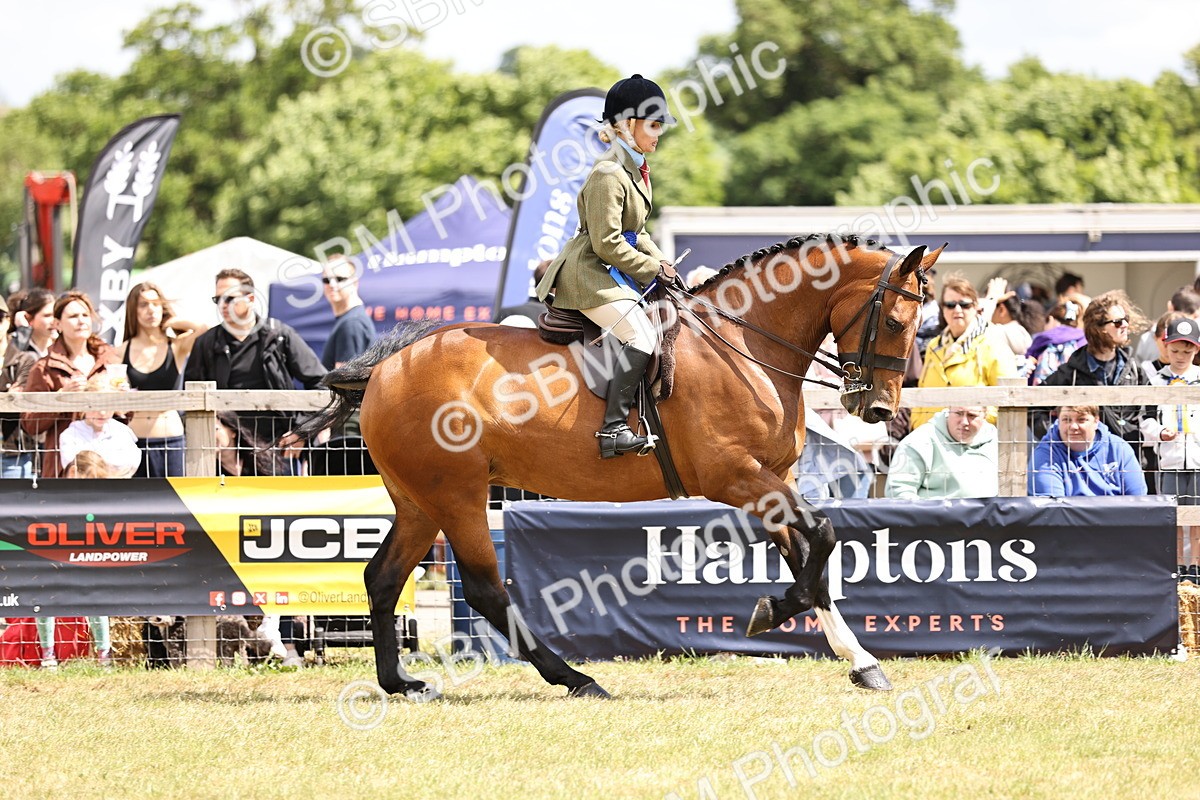 SBM_14790 - Class 88-89 - LIHS BSHA Rising Star of Ridden Hunter Type
