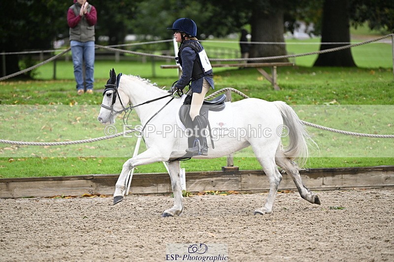 251005A-085205-02875 - Cls 02 GR 50cm