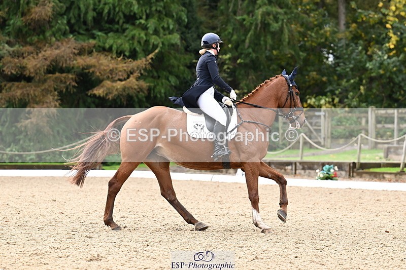 251023A-124246-02307 - B-154-Holly.Law