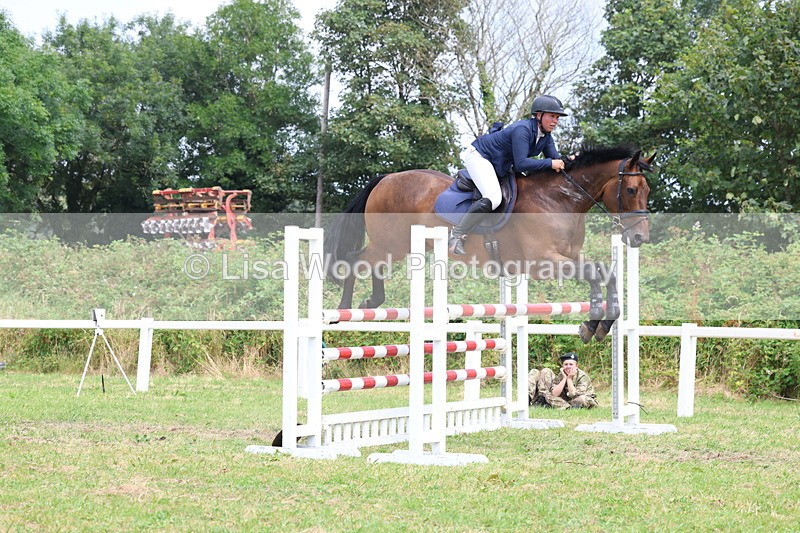 3E7A3434 - Class 10: Senior Foxhunter/1.20 open