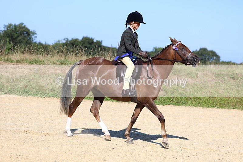 3E7A7984 - Class 14: Tack and Turnout