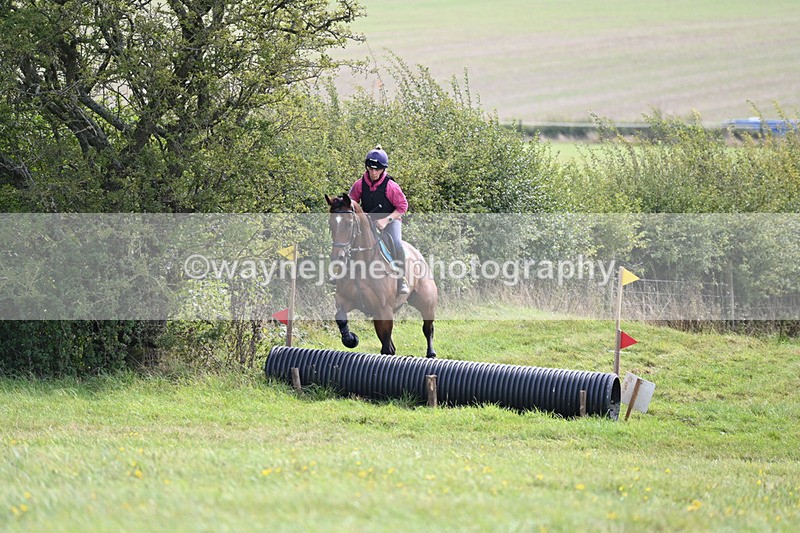 WJ6_8326 - Time 12:18 to 12:59