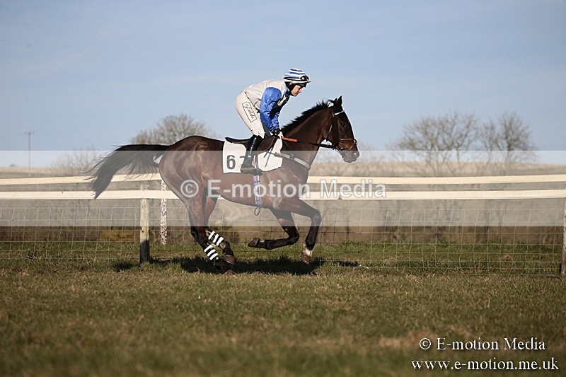 PtP 240218 644 - Vine & Craven Hunt Point-to-Point Barbury racecourse 24/02/18
