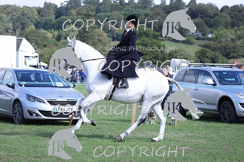 APP_3136 - Class 11 Veterans ridden