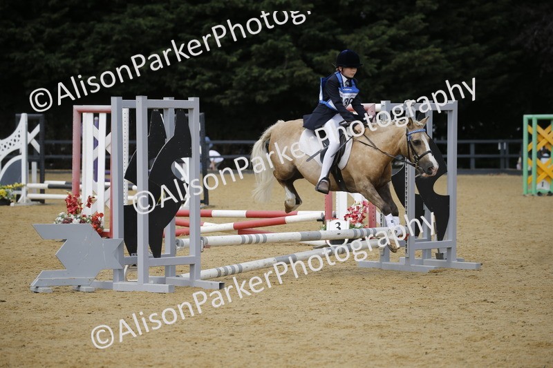 20250622-3937 - 50cm