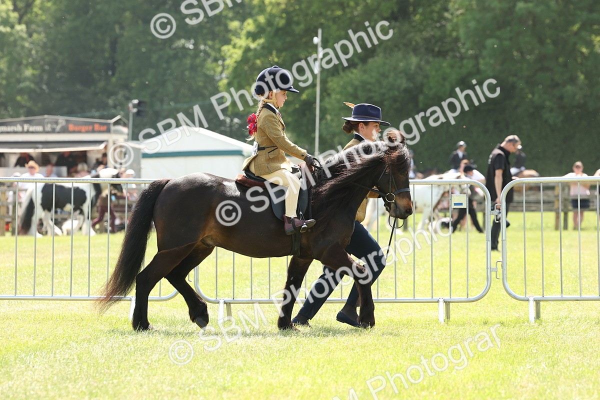 SBM_05167 - Class 24-25 - Mountain & Moorland In Hand Lead Rein and First Ridden