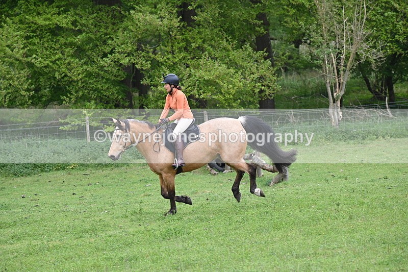 WJ6_2629 - A camera