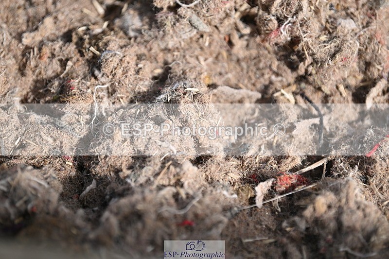 240706A-101936-00779 - Cls 2B Snr Prelim 13