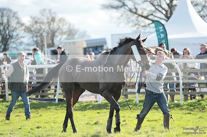 PtP 170324 2899 - Oakley Hunt PtP Brafield-On-The-Green 17/03/24