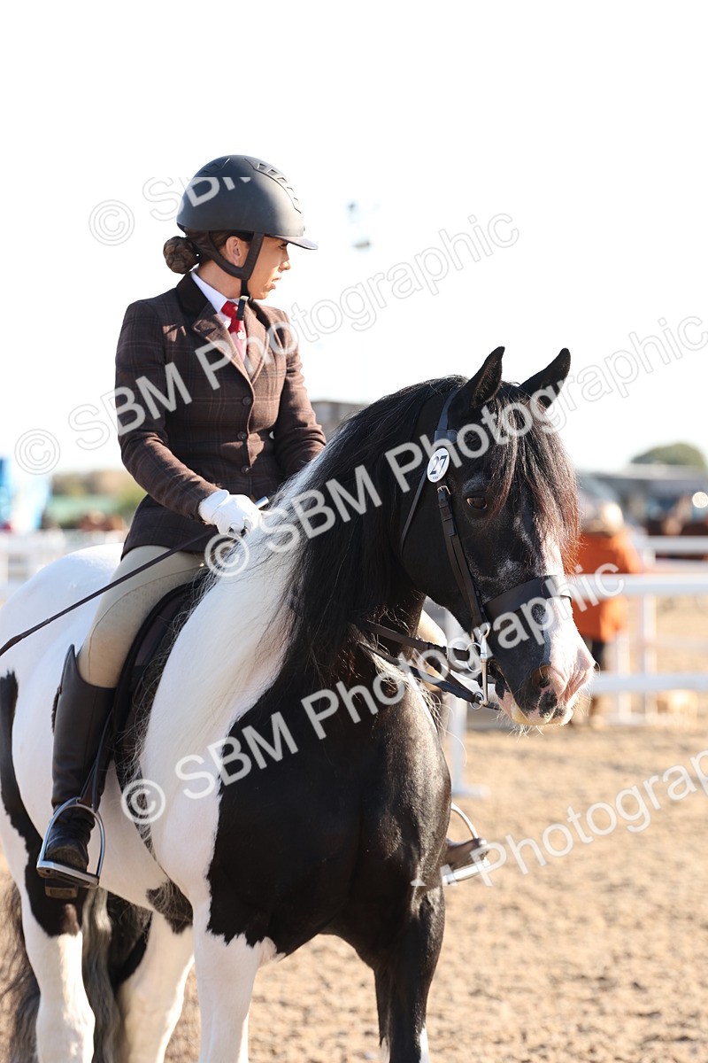 SBM_10835 - Class 202 - Best Turned Out - Ridden