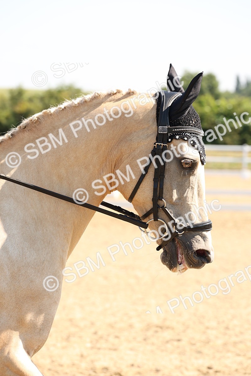 SBM_003013 - Prelim 4 - Warm Up