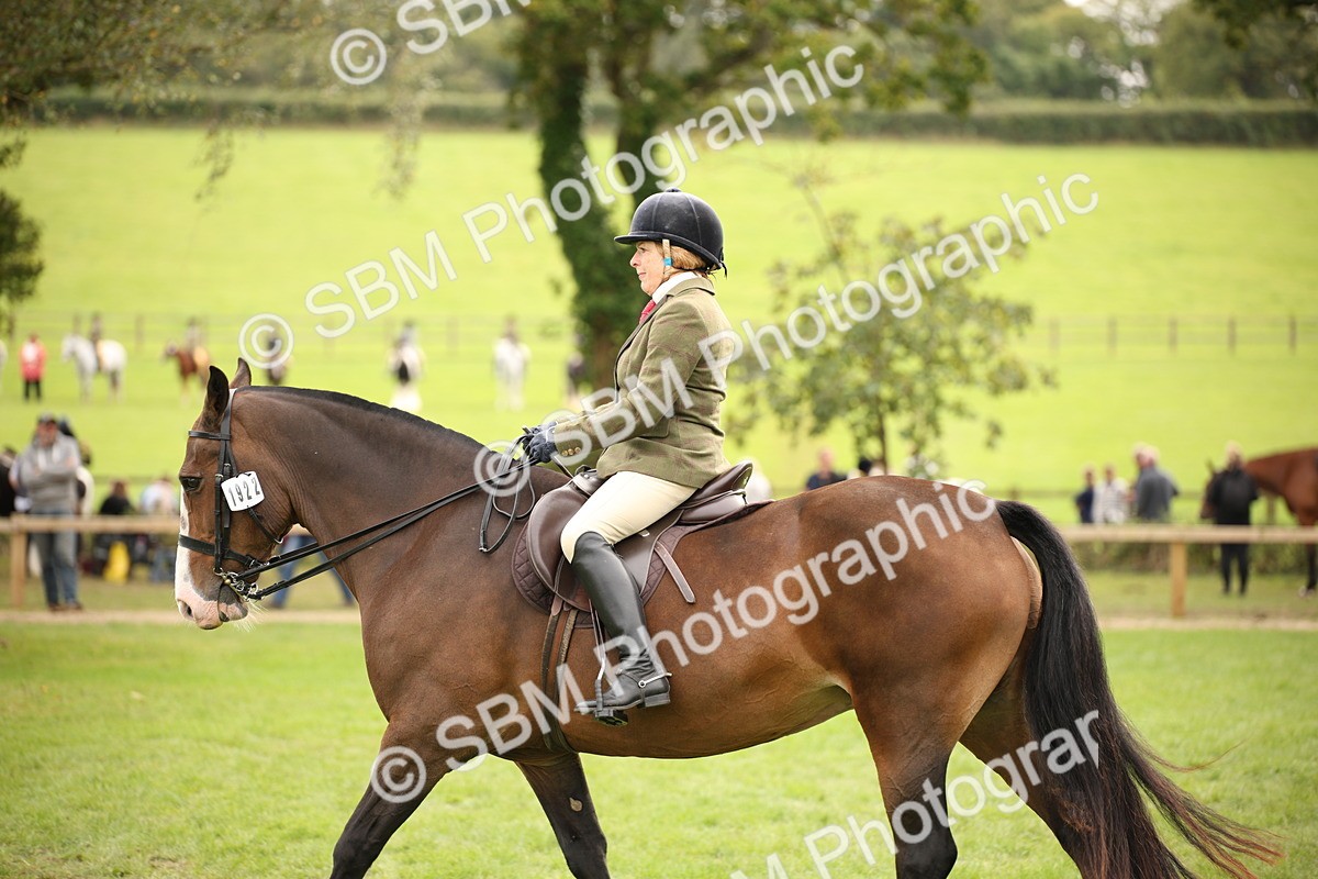 SBM_72378 - S67 - Show Cob Ridden