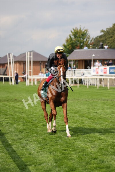 yr20082021r2-60 - Race 2 2.25pm Weatherbys Hamilton Lonsdale Cup (British Champion Series race)