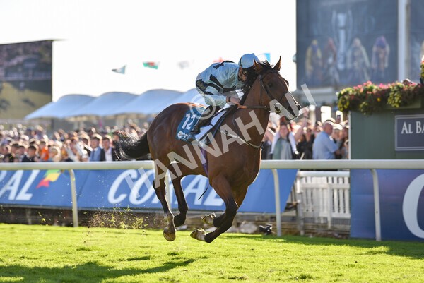 yr08102022r5-44 - Race 5 3.50pm The Coral Committed To Safer Gambling EBFStallions.com Maiden Stakes