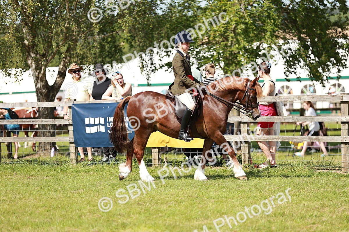 SBM_08460 - Class 61-62 - TSR  M&M Ridden Amateur of the Year