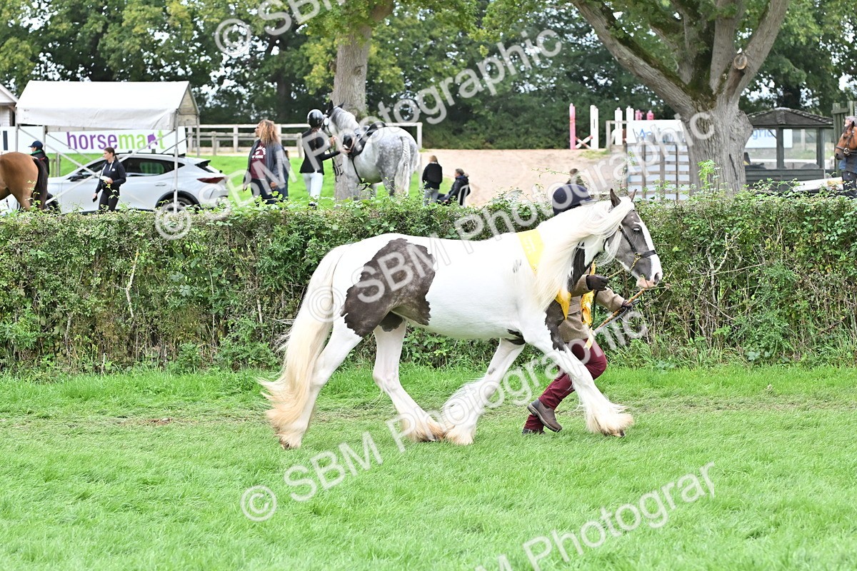 SBM_64973 - In Hand Pony & Younstock Supreme Championship