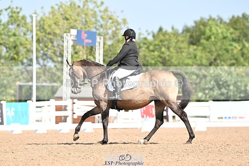 250816-105356-03232 - 093-Jocelyn.GilmoreSpring.lily