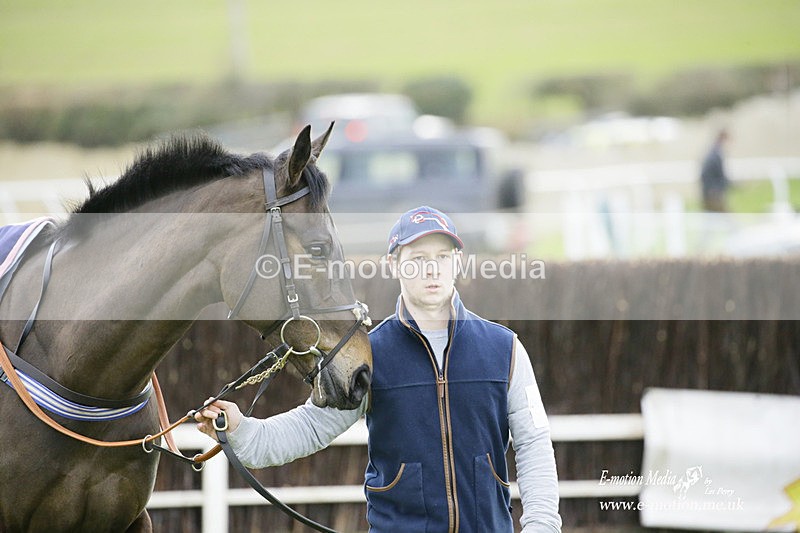 PtP 300122 422 - South Dorset Hunt - Point-to-Point Races 30/01/2022