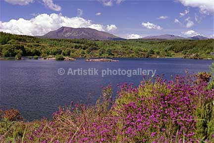 Moel Siabod from Llyn Elsi - Sceniks.com - Snowdonia landscape photographs by Dave O'Shea