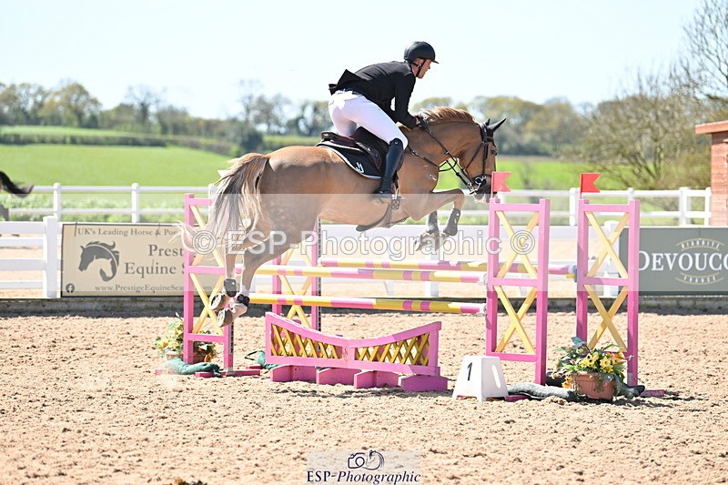 240420A-120005-10680 - Cls 15, 1 Star Bronze Tour 1.15m