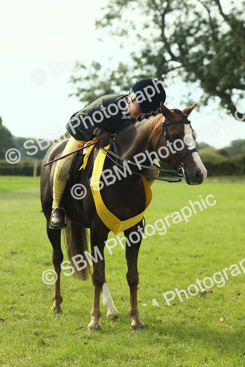 SBM_68154 - S57 - Part Bred Pony Ridden