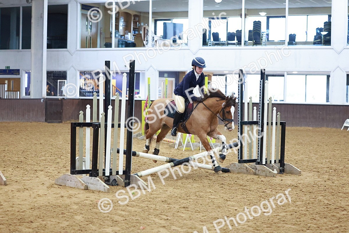 SBM_000362 - Class 19 - 50cm