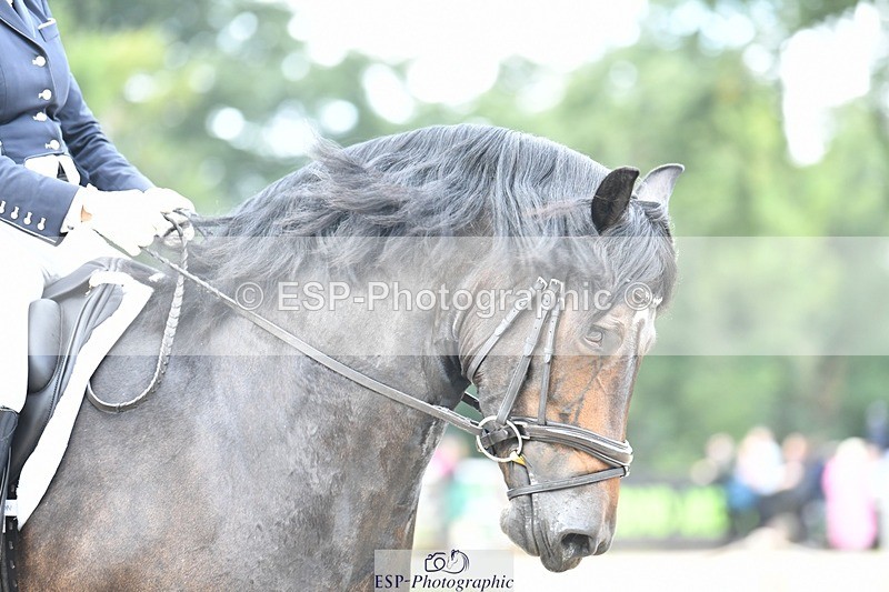 230812-105352-03494 - Cls 6 Novice Silver 10.30 to 11.55 break