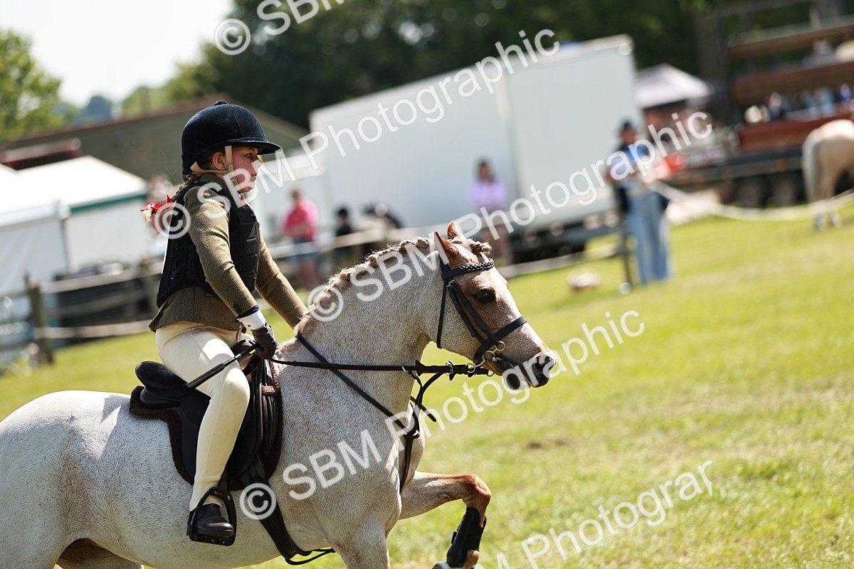 SBM_13618 - Class 108-109 - BSPS LIHS Open Gradle & Nursery Stakes