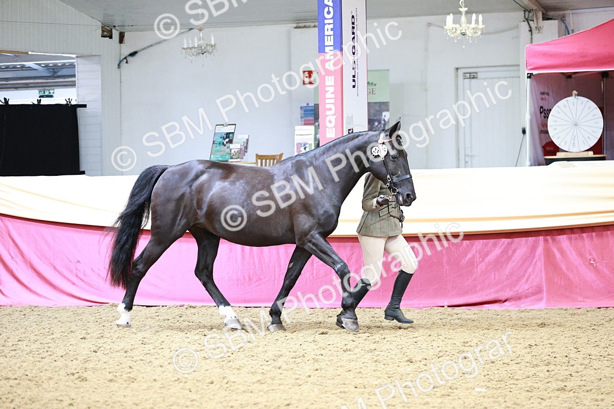SBM_00904 - Class 2A - Area IH Veteran