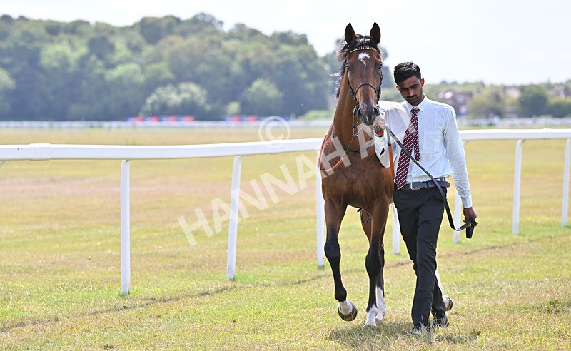 220826-027 Infraad - Race 2 14.25pm Sky Bet Melrose Handicap