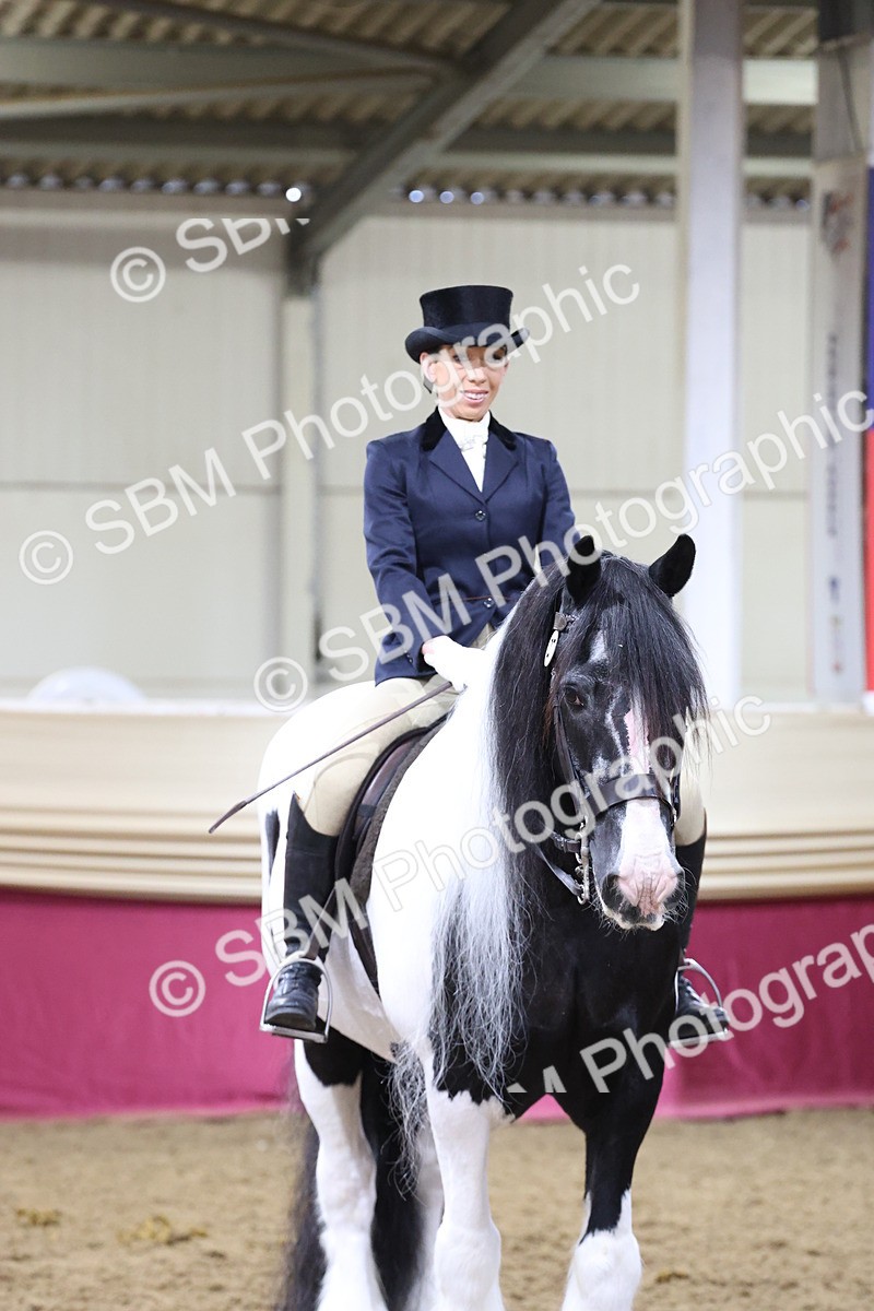 SBM_20183 - Class C - Novalty Champ