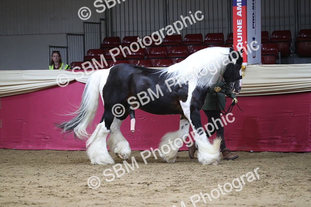 SBM_06352 - Class 9R Regional- IH Pre Vet