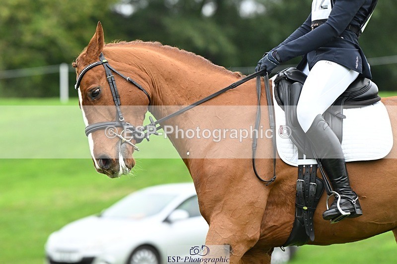 241024-121924-03372 - 512-Elisha.O'Brien-HIGHLIGHT.ROLLER