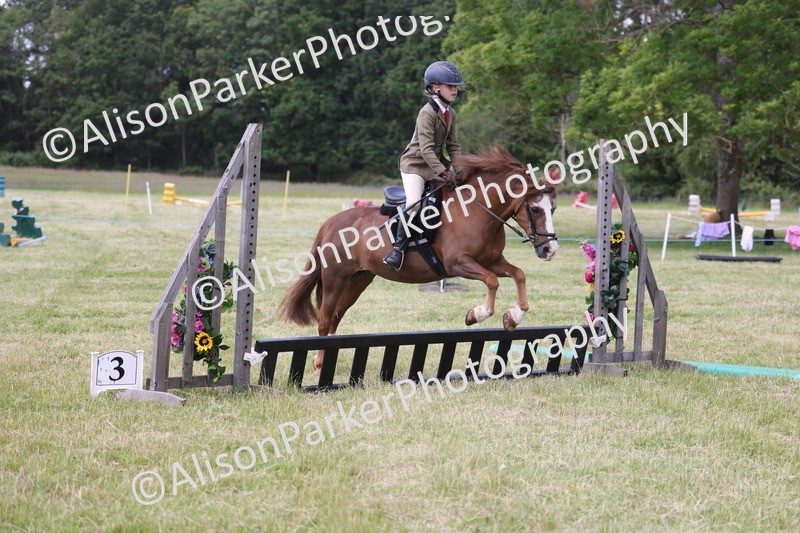 20260614-2072 - Class 21 - Novice Working Hunter Pony