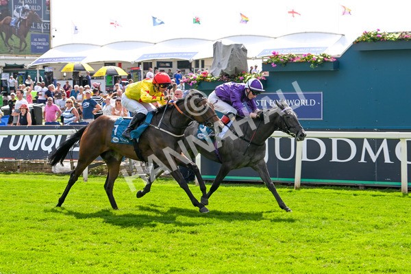 130625-Race 4-India Love-9257 - Race 4 3.35pm Juddmonte EBF Fillies' Restricted Novice Stakes