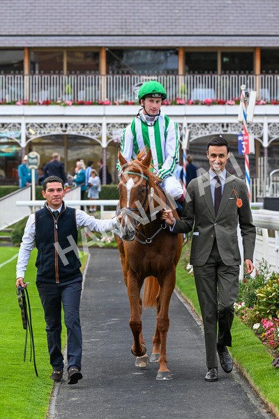 250725-Race 5-Sand Gazelle-0749 - Race 5 7.48pm British EBF Lyric Fillies' Stakes