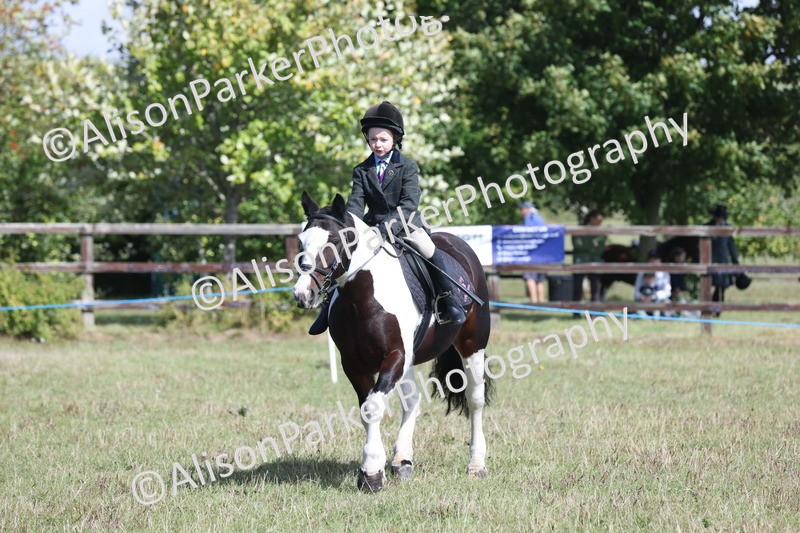 20250831-2487 - Class 16 - Family Pony