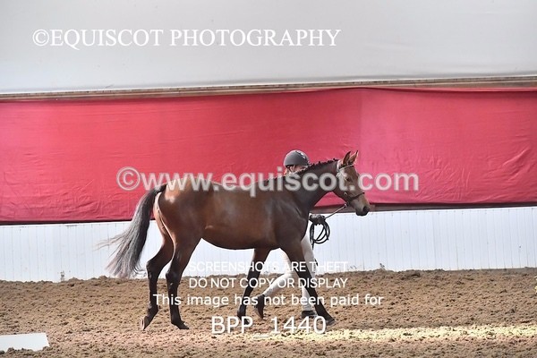 BPP_1440 - MORNING 9AM - 12PM