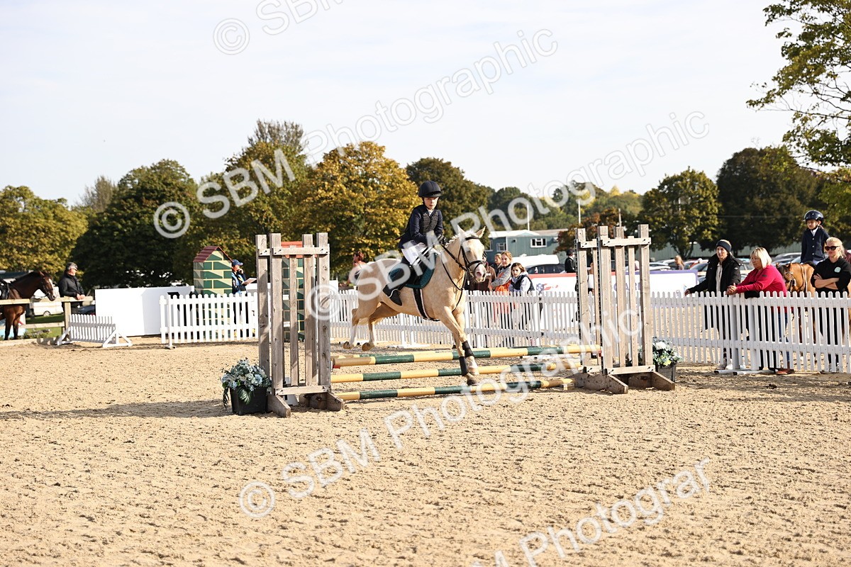SBM_59732 - J11 - Junior Pony 50cm Championship