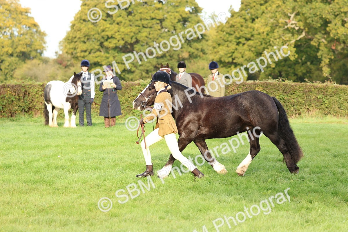 SBM_54870 - S39 - Starters In Hand Showing