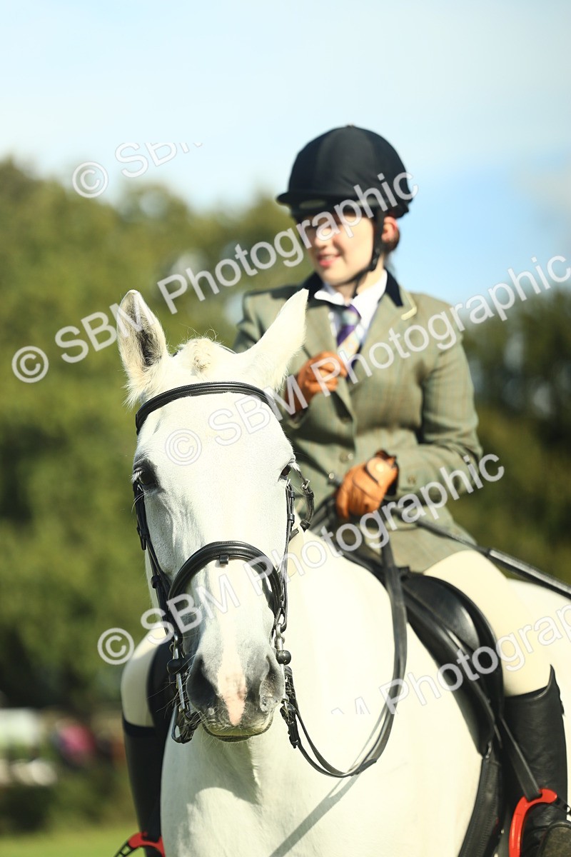 SBM_49885 - S32 - Novice & Newcomers Working Hunter