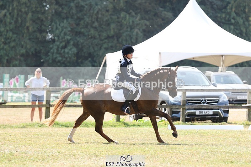 250823A-122028-29768 - Arena C