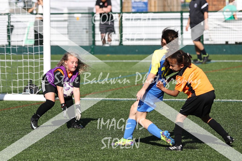 1DX34147 - Sat 13th U7 & U8 Girls