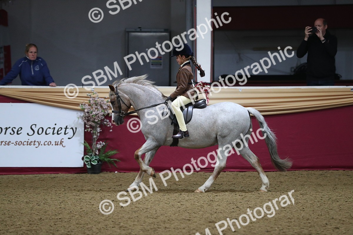 SBM_09352 - Class 101 Equitation (best rider), Junior