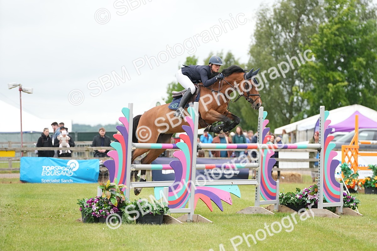 SBM_03452 - Class 201 - British Horse Feeds Speedi Beet Horse of the Year Show Grade  C