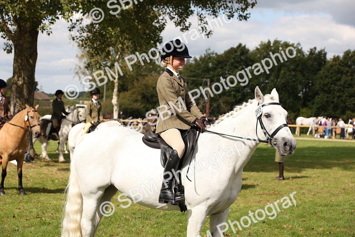 SBM_42384 - S13 - Pony Club Pony