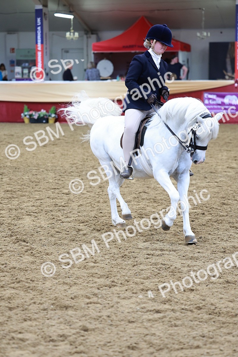 SBM_18659 - Class 952 - M&M Ridden Supreme Final